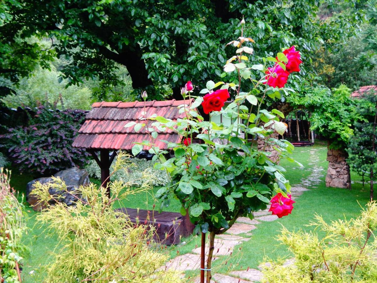 Bed and Breakfast Eco Garden Дилижан Экстерьер фото